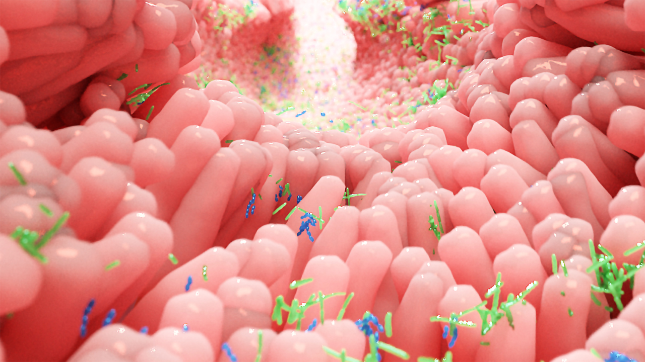 How to Heal Leaky Gut: Top 5 Supplements Backed by Research